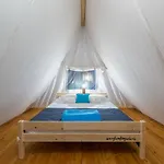 Tente de luxe Eco Glamping- Fkk Nudist Solaris Poreč